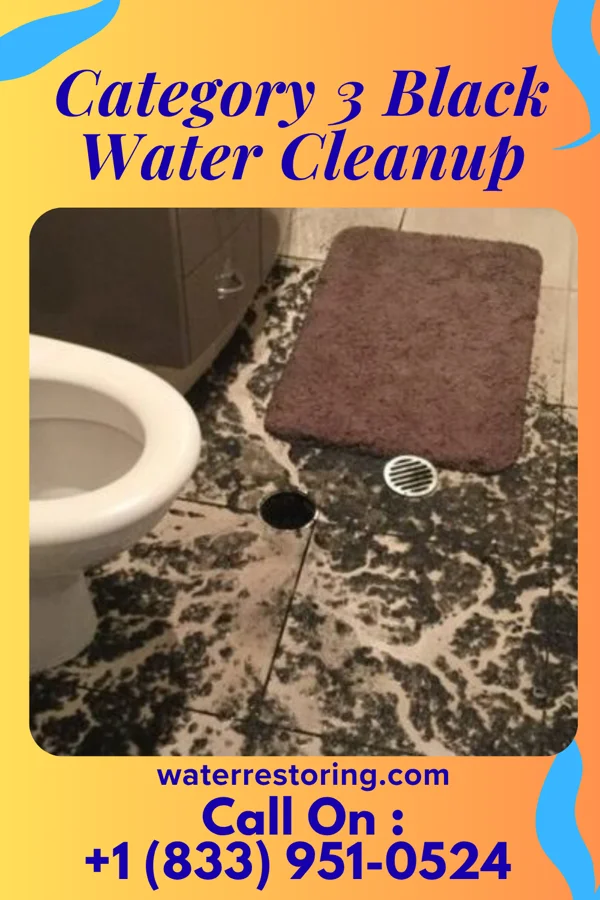 Category 3 Black Water Cleanup in Hunker, PA