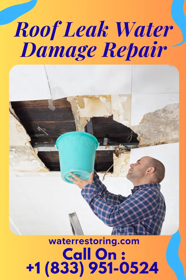 Roof Leak Water Damage Repair in Hunker, PA