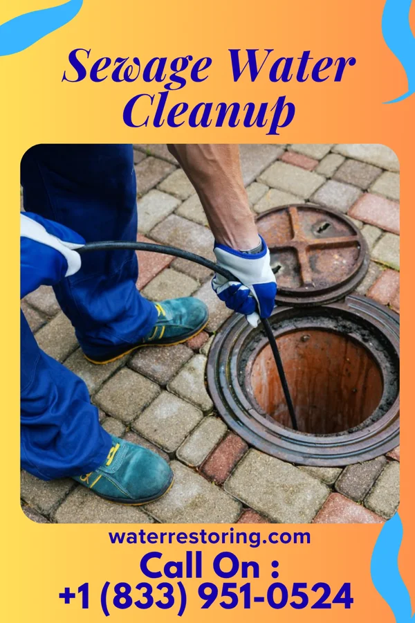 Sewage Water Cleanup in Hunker, PA